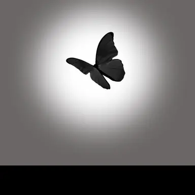Profile image of ちょる