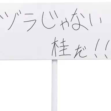 Profile image of Kotaro Katsura