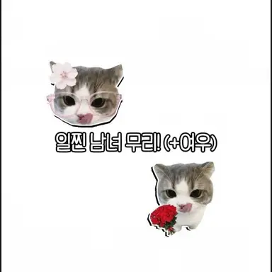 Profile image of 일찐 남녀 무리