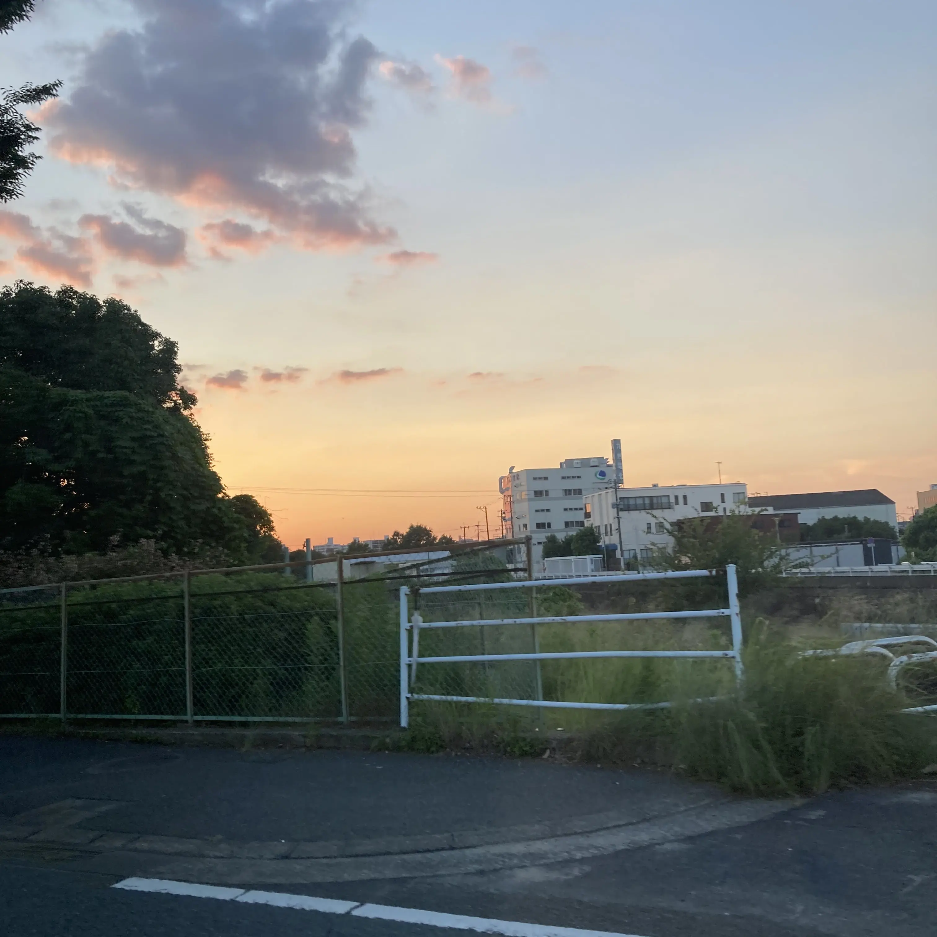 WildQuill5122의 『いじめはよくないアルよ』