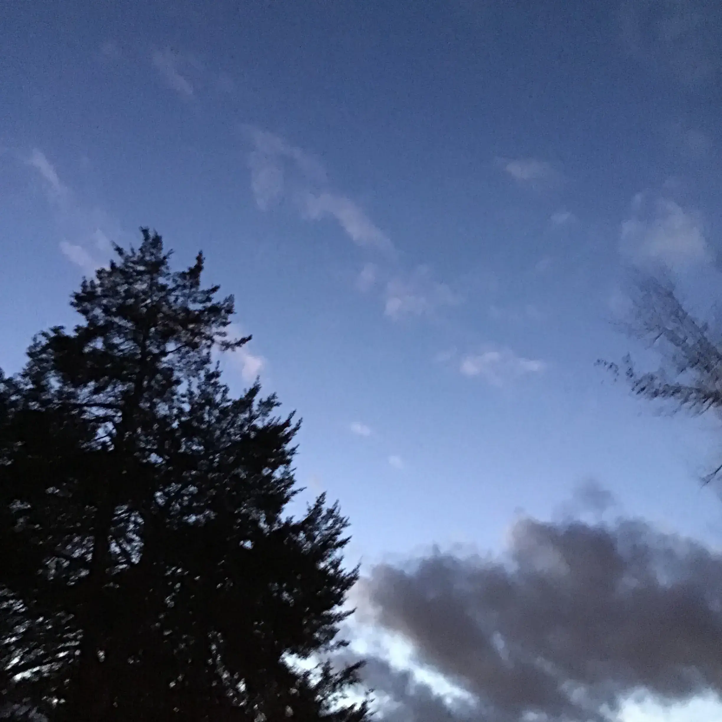 AcridChin4644의 Create your own story