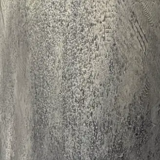 Profile image of svt