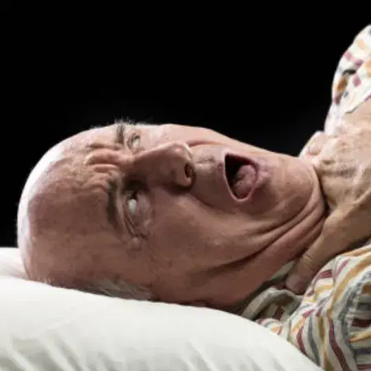 BraveStone1971의 Silas