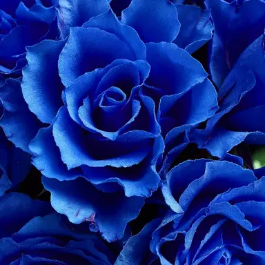 Profile image of 滉斗