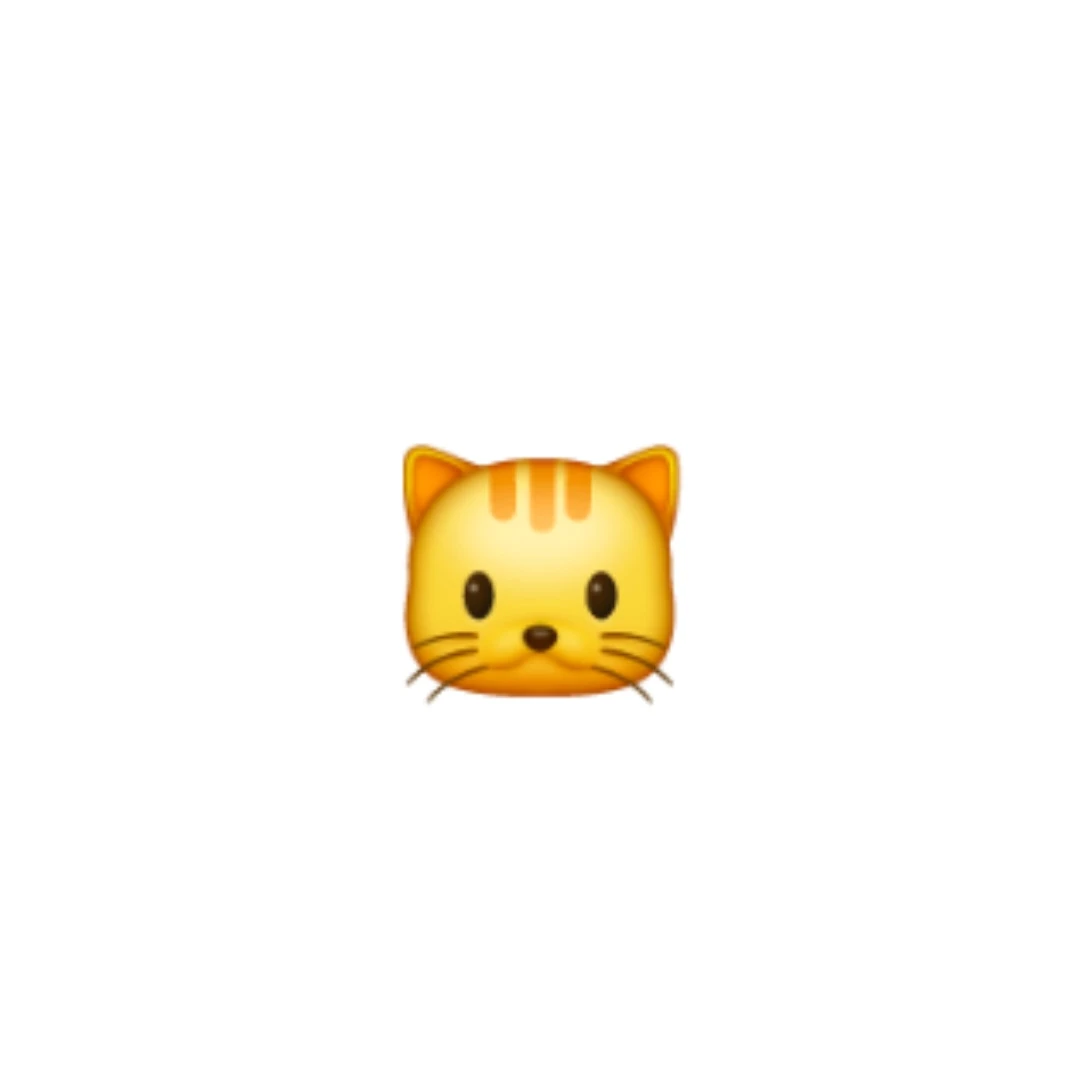 ㅇㅈㅇ