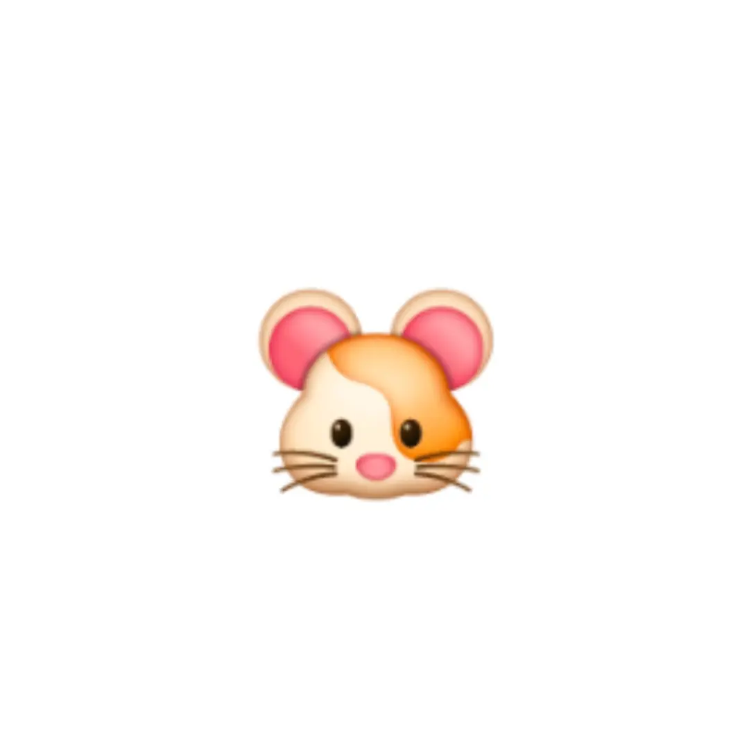 BeigeSong1359의 🐹🐑🐈‍⬛