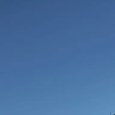 Profile image of 渡辺翔太