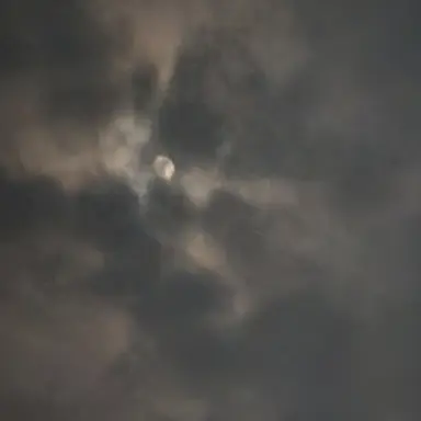 Profile image of 차견후