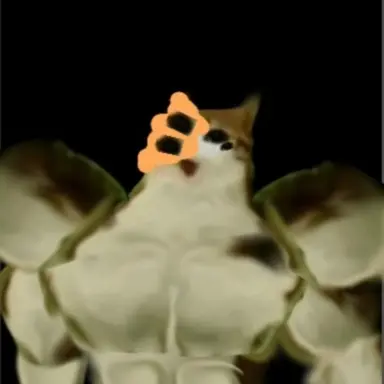 Profile image of Mid-Meow-Meow