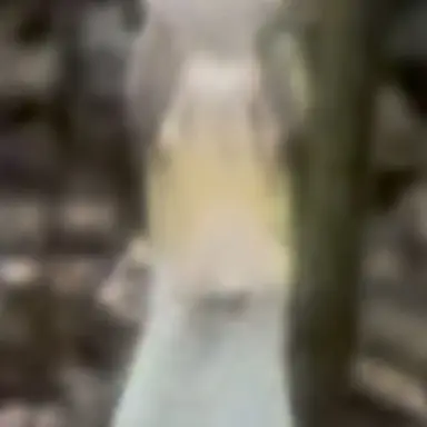 Profile image of カプ