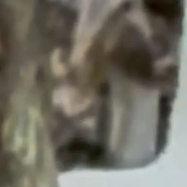 Profile image of クッキー