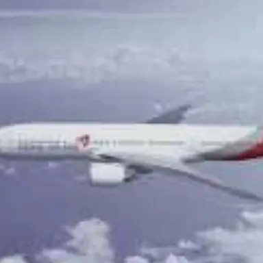 Profile image of 아시아나 하공