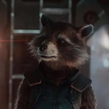 Profile image of Rocket