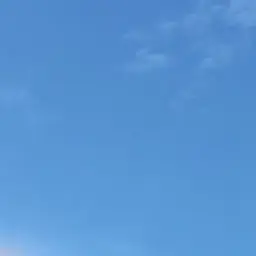 Profile image of 박슬기