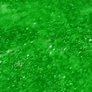 Profile image of 정형준