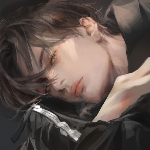 정도화