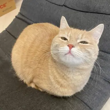 Profile image of じゅん