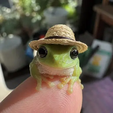 Profile image of みょんほ