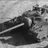 T95