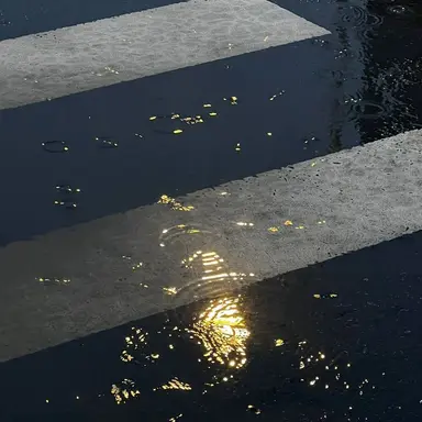 Profile image of 이수호