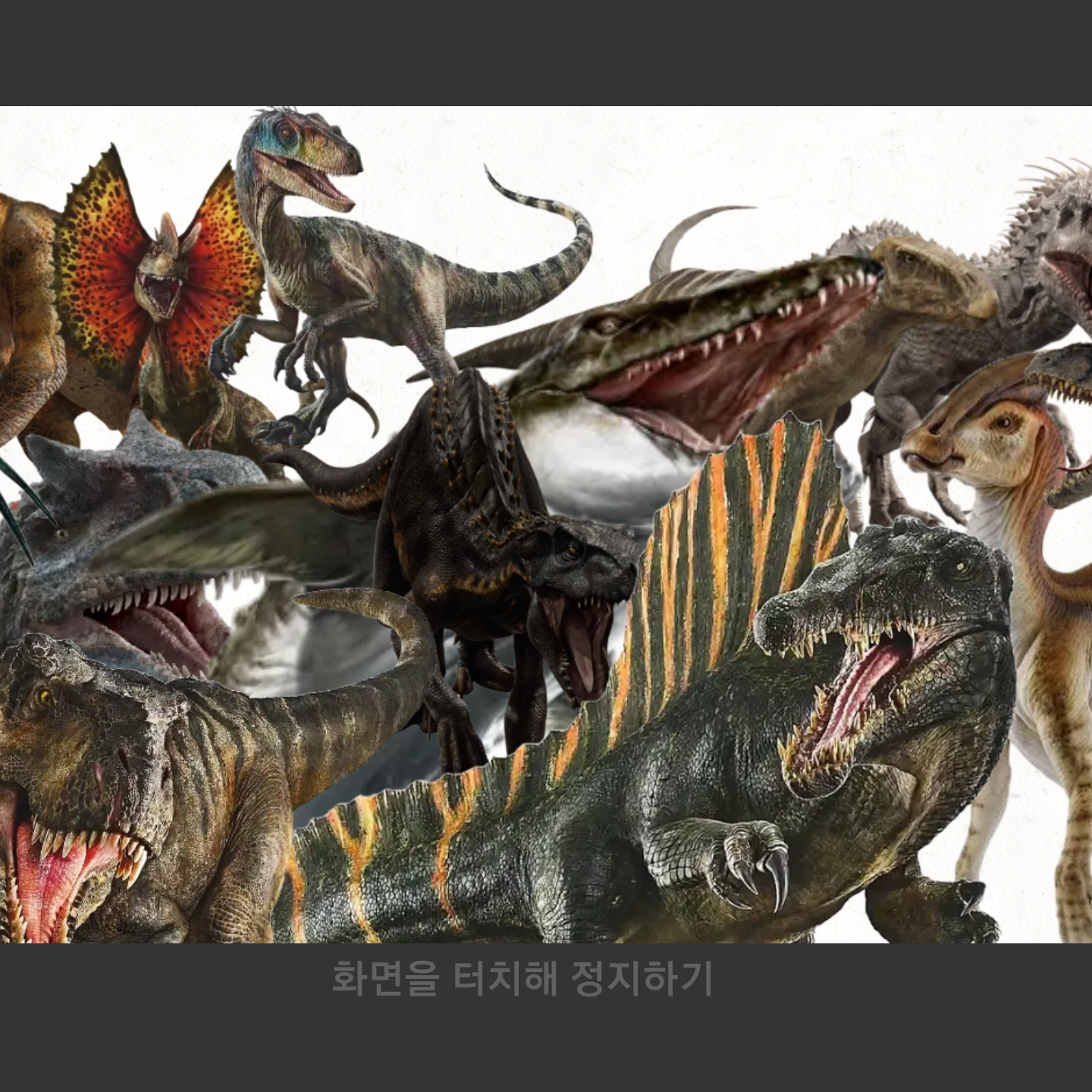 카와인도미누스 대표 이미지