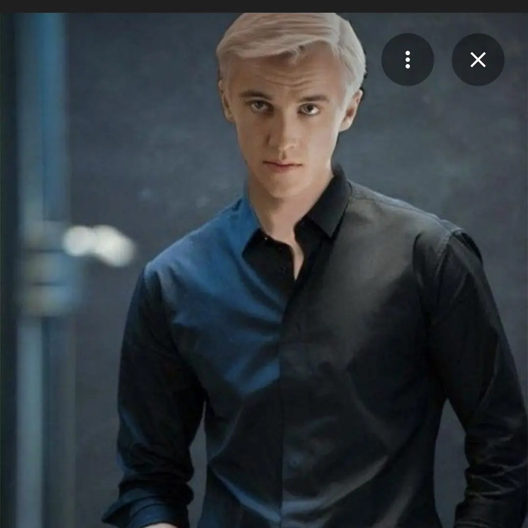 DirectGrass7050의 The Veela's Secret