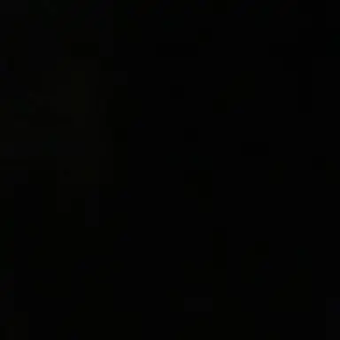 Profile image of 전이정