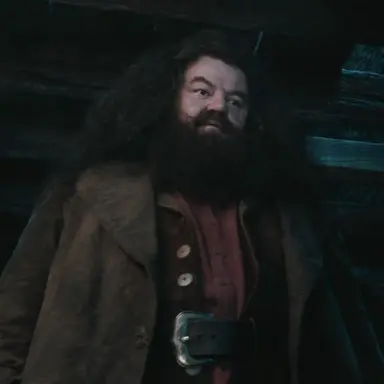 Profile image of Rubeus Hagrid