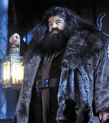 Profile image of Rubeus Hagrid