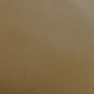 강우현