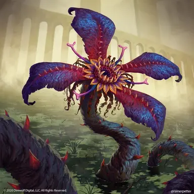 Profile image of 식인꽃