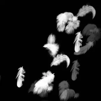 Profile image of 空