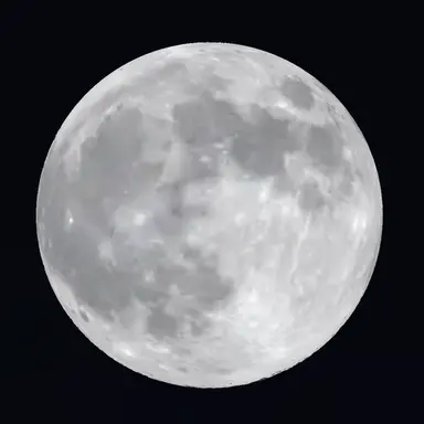 Profile image of 계급 퍼리세상
