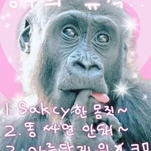 Profile image of 와이슈 이미