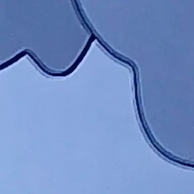 Profile image of 늑대