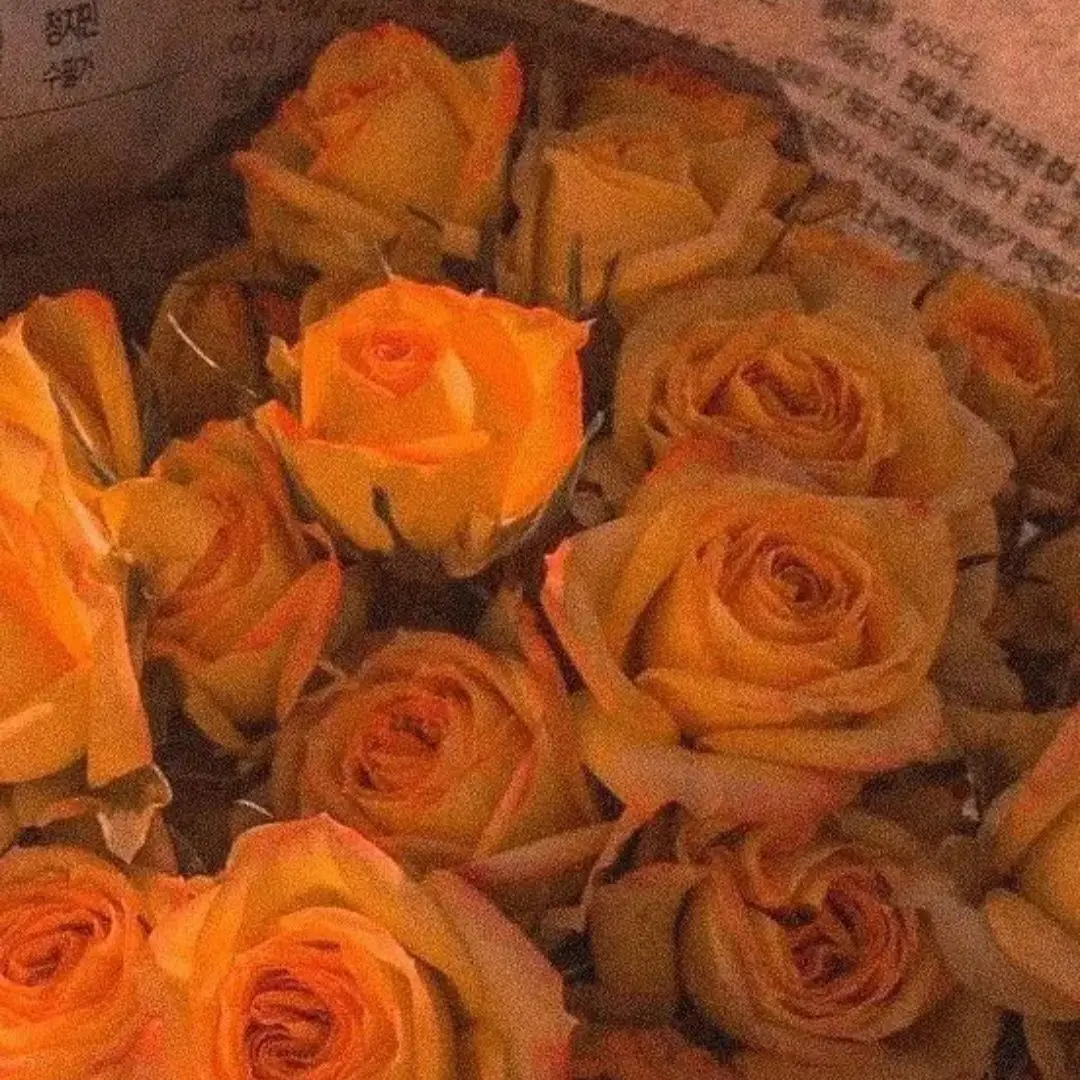 DirectCamel5712의 다시 돌아온다 했잖아요.🎓