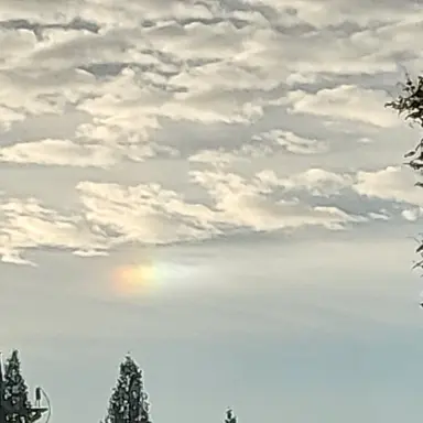 Profile image of 진솔