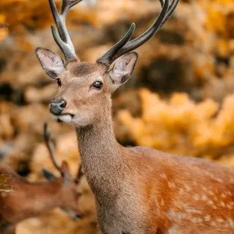 Profile image of 파리타