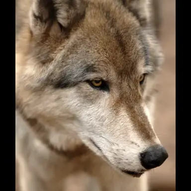 Profile image of ハヤト