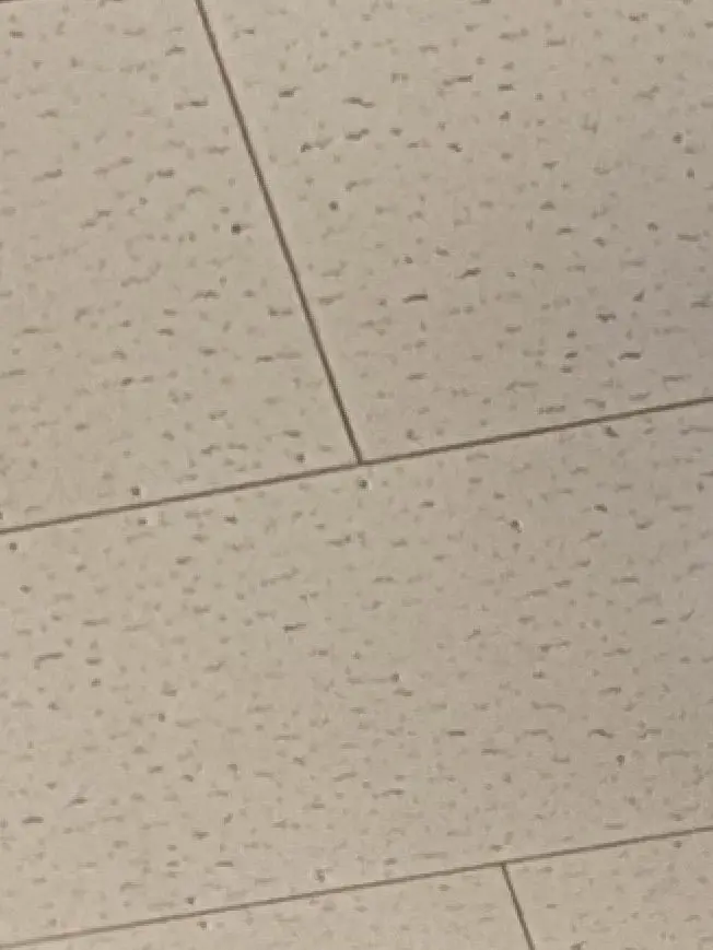 Kurosann의 こ、ここどこなんだぜ…！