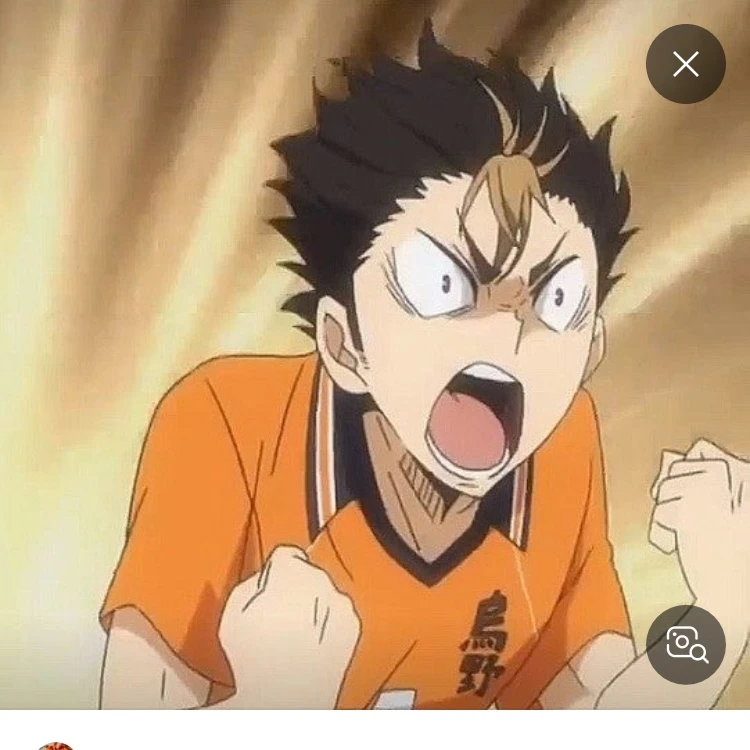 니시노야 유우