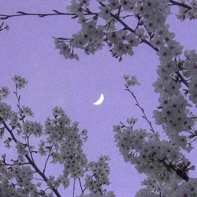 Profile image of 수현