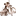 아킬라