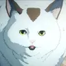Profile image of 냐코
