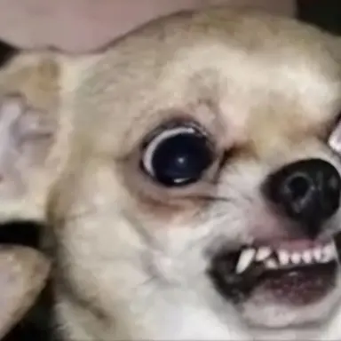 Profile image of 늑대