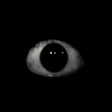 Profile image of Ta