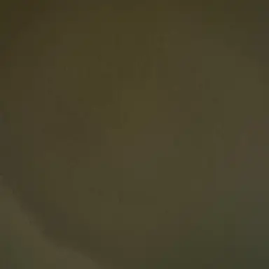 Profile image of 잉어맨 체인소맨