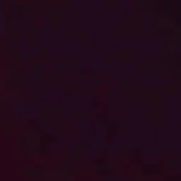 Profile image of 황현진