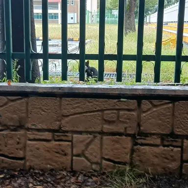 Profile image of 잭