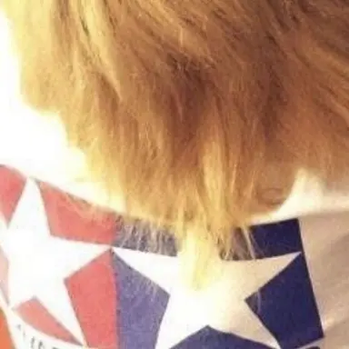 Profile image of 翔
